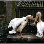 ... tak už se nezlob...