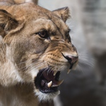 už mě nesejři....