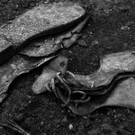 Kam jsme to až došli?