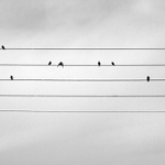 Blues pro babí léto