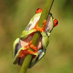 a nebudu se fotit ...