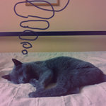 Spím, buďte v klidu, ale už se