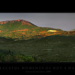 Peaceful moments of hot a days