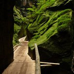 v risi vecnych stinu