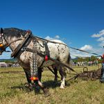 Agrokomplex Nitra 2009