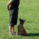 Já tě miluju :-)