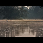 ***Ohře, pod nechranickou přehradou***