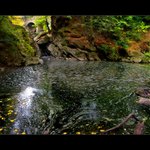 ...podzim v podzámčí...