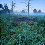 Pohanské ráno III.