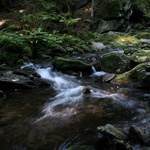 ...teče voda teče...