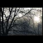 Městem v páteřích