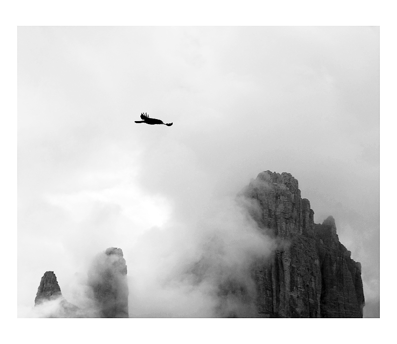 Dolomity a kavče žlutozobé