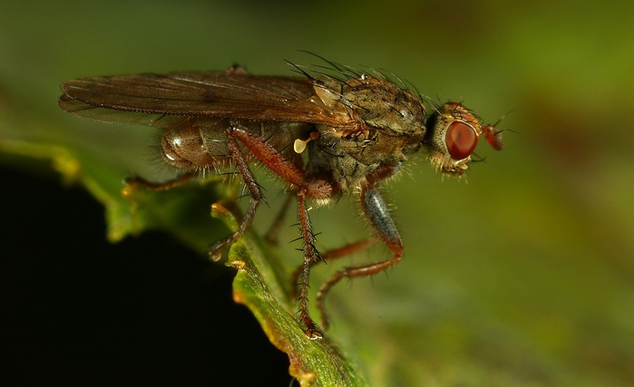  připravit ke startu, pozór ...
