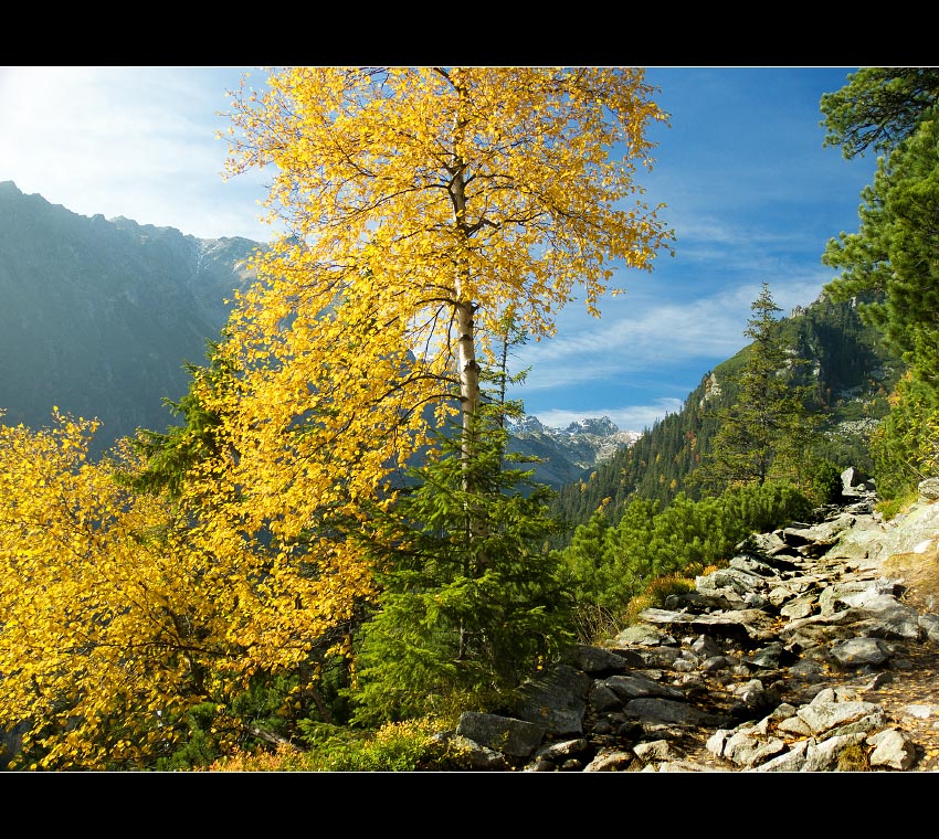 k Zamkovského chate