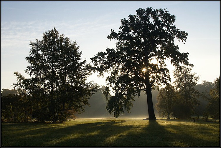 V zámecké zahradě