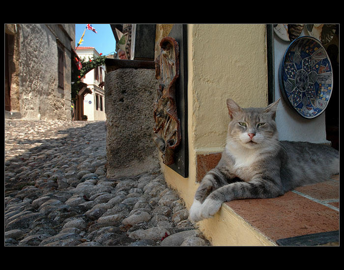 Siesta