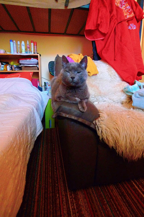 Spím, buďte v klidu, dnes je