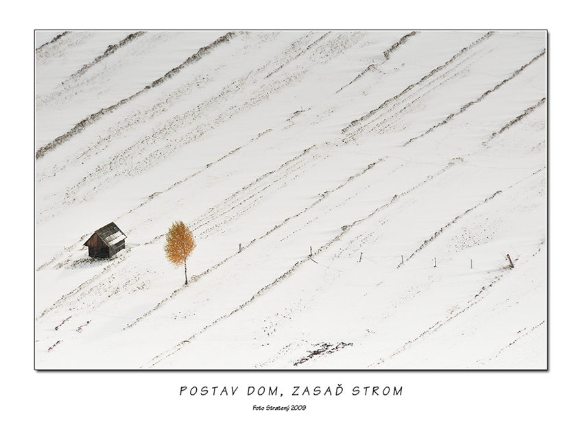Postav dom, zasaď strom
