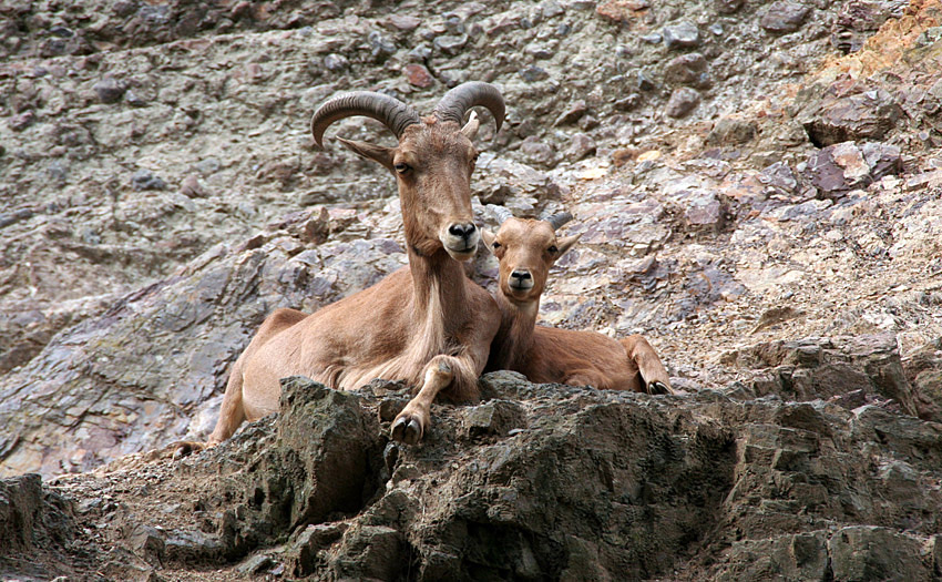 Usmějte se vyletí ptáček