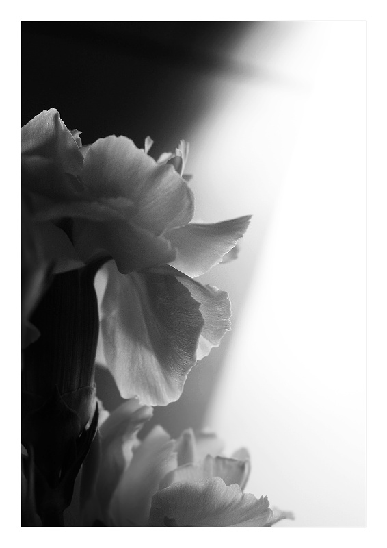 ~lit up III~