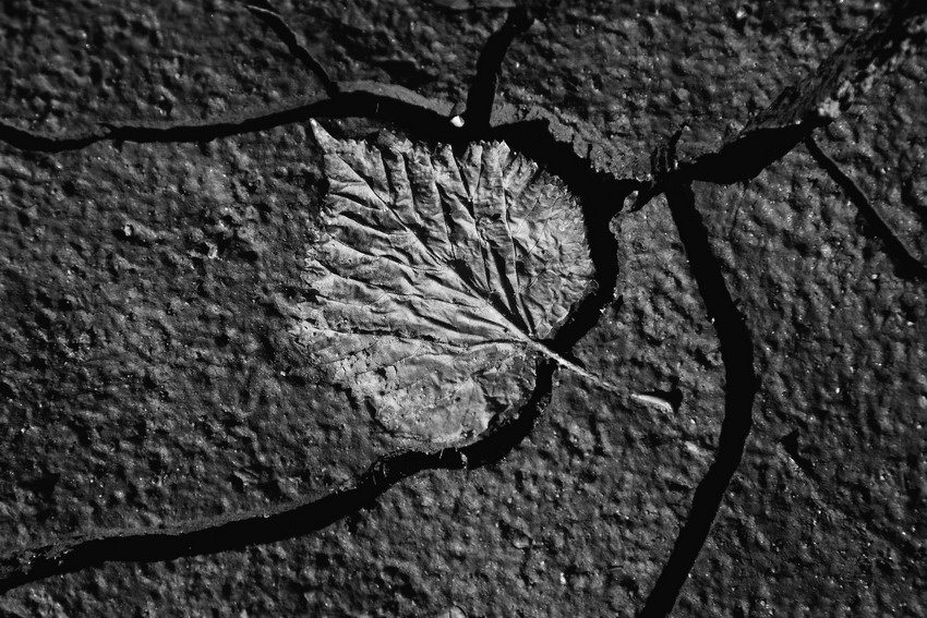 Zasychání symbolů