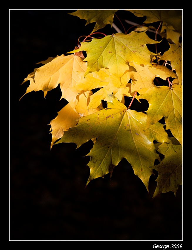 Color of ...