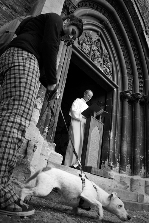 sv. František z Assisi (2)