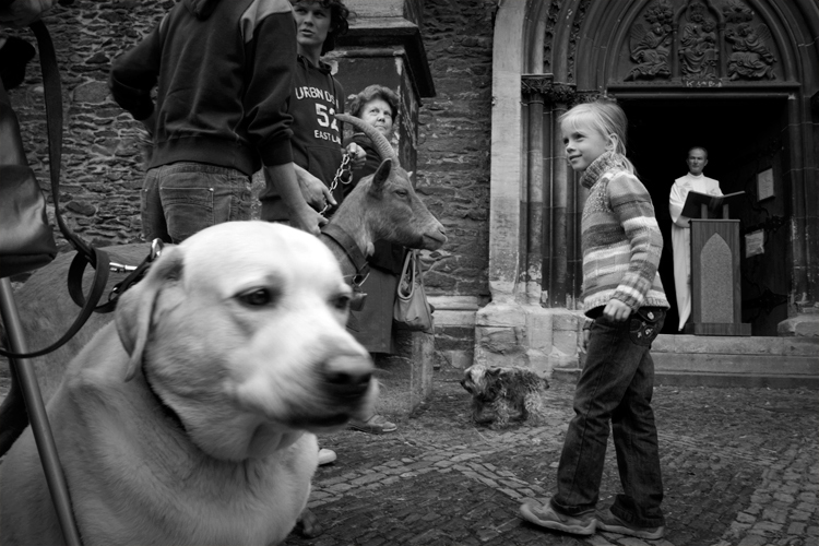 sv. František z Assisi (3)