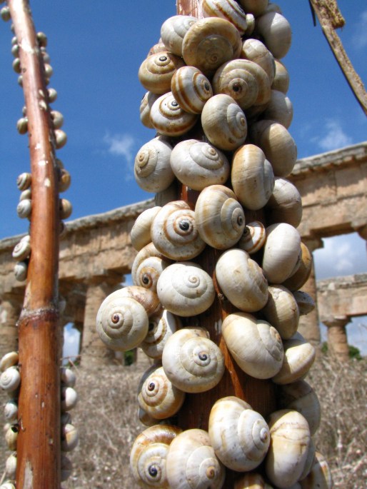 Šnečku,šnečku...