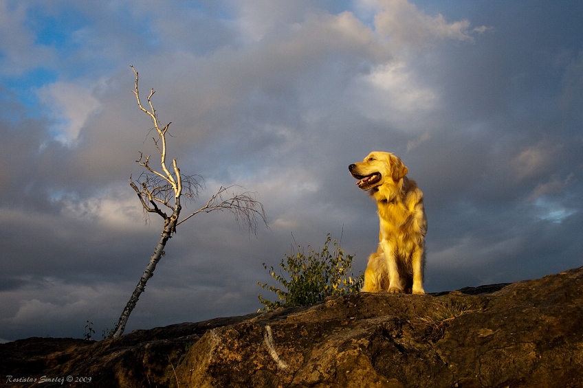 Ve světle zapadajícího slunce