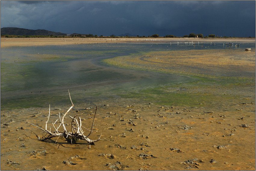 Kos - solné jezero