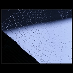 Pavoučí hrátky v deštivém dni