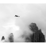 Dolomity a kavče žlutozobé