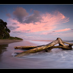 Indonesie/Sumatra - Lais