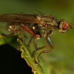  připravit ke startu, pozór ...