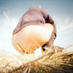 Prdelka....sirkon' 1.px