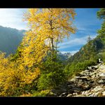 k Zamkovského chate