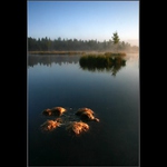 Chalupská slať III