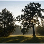 V zámecké zahradě