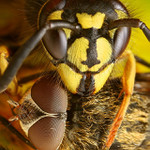 Mňáááááááááááámka