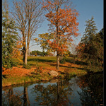 Krásné barvy podzimu...