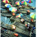 Bamboo raft