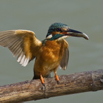 ahoj lidi, neco pro vás mám :)