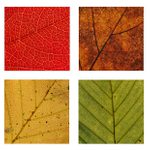 ... 4 Barvy podzimu ...