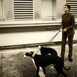 World dog show Bratislava