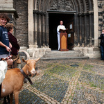 sv. František z Assisi (1)