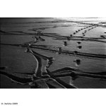 Bruslaři ve sněhu II