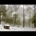 október v karpatoch