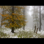 október v karpatoch II.