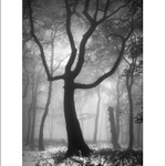 október v karpatoch III.